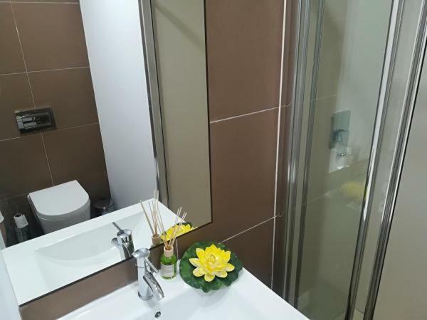 Iris Apartment Pombal  Kültér fotó
